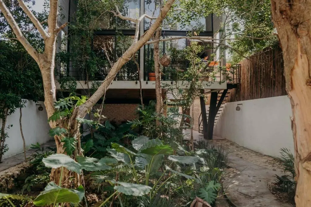 Apartment With Private Plunge Pool At Madara Tulum 0*,  Mexico